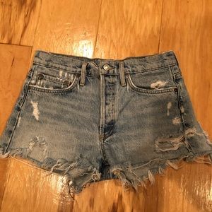 AGOLDE Park Vintage Cut Off in Swapmeet